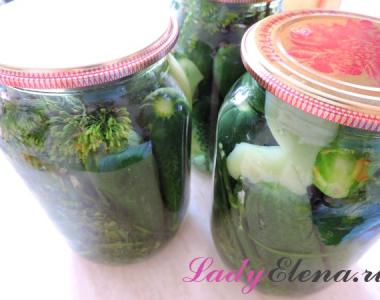 Preparing cucumbers for the winter in liter jars