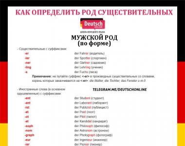 Орос хэл дээрх нэр үгийн нийтлэг хүйс: тодорхойлолт, жишээ